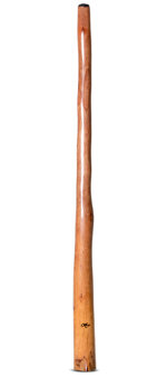 Tristan O'Meara Didgeridoo (TM372)